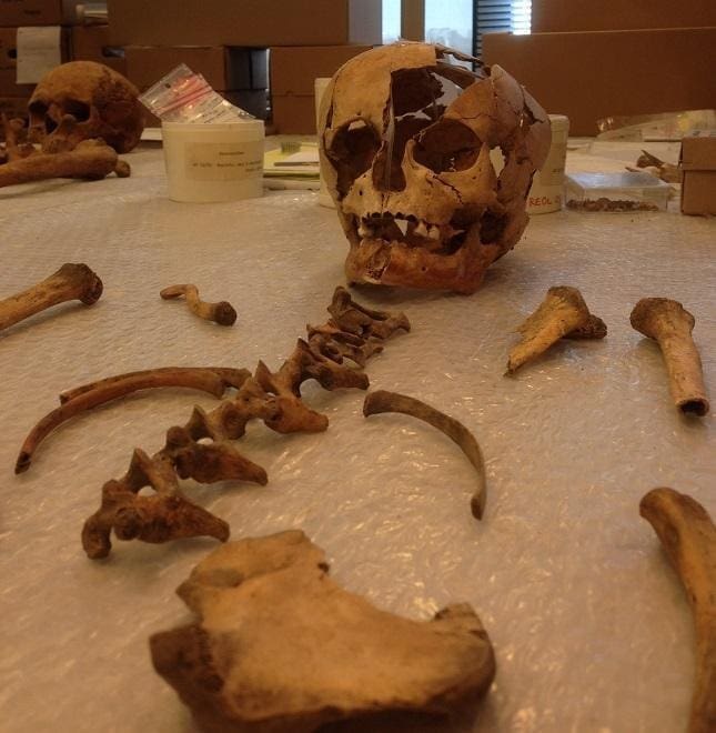 Skeleton of one of the four children that were found in the wells. Photo: National Museum of Denmark