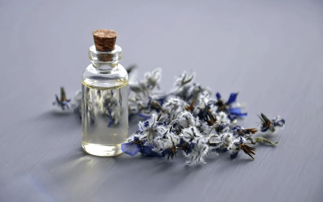 Cleopatra’s Perfume: The Scents of Ancient Egypt