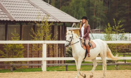 10 Oldest Sports in the World That Are Still Played Today