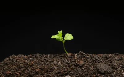 4 Lessons Plants Teach About Growth and Resilience